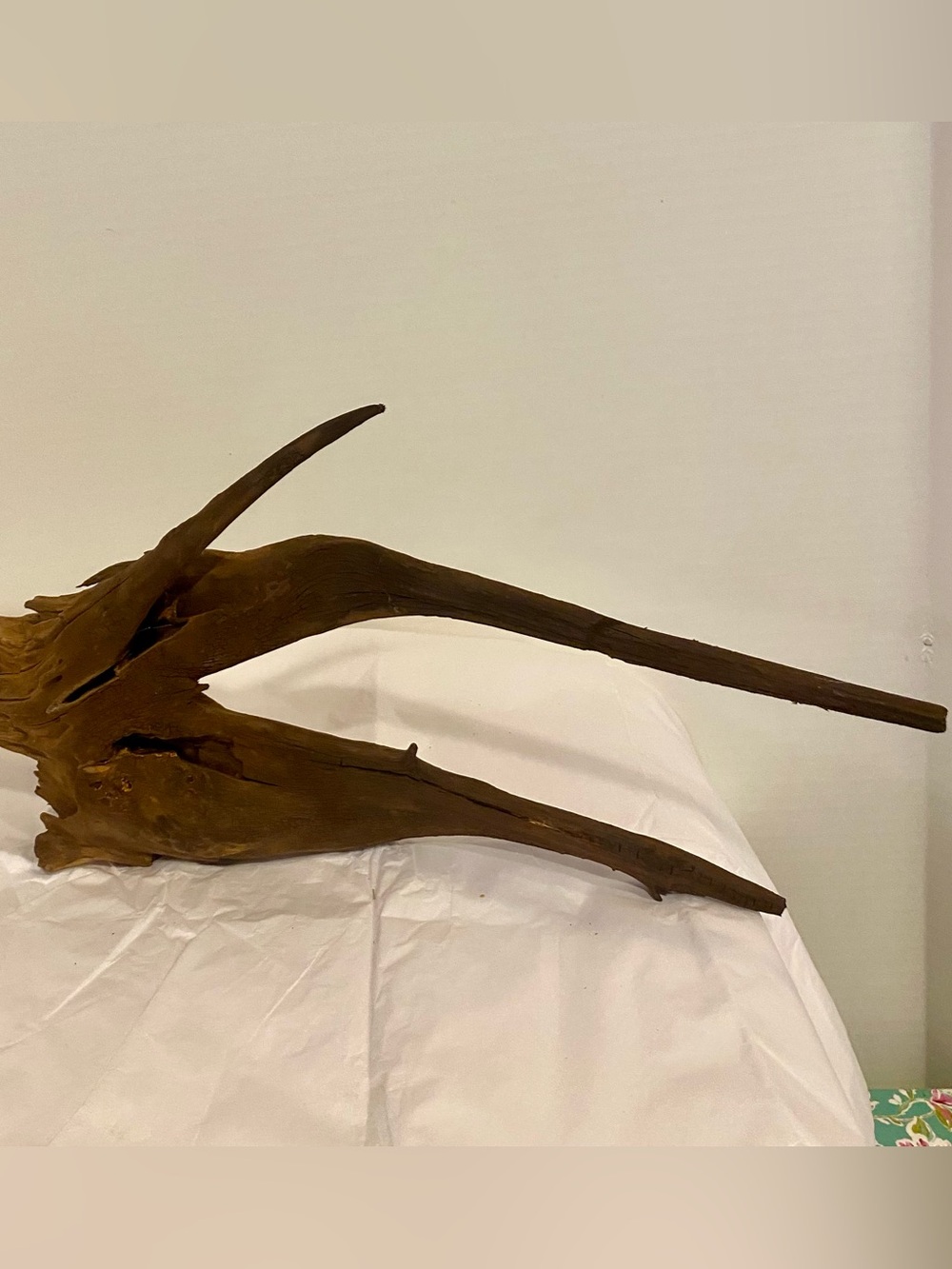 Organic Driftwood